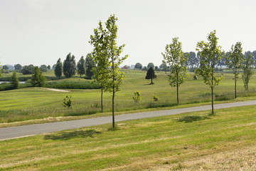 View on a Dutch scenic golf course in the middel of teh Netherlands, named Groene Hart