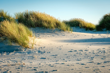 The colortones are becoming warmer when the evening has arrived on the shore of the Wadden Island of Schiermonnikoog (Friesland, the Netherlands) on a sunny late September afternoon.