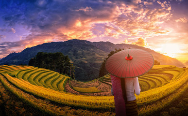 Woman holding traditional red umbrella on Rice fields terraced with pine tree at sunset in Mu Cang...