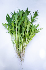 bunch of salad mustard