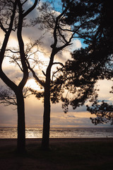 Evening orange sunset over Gulg of Finland, Russia nature landscape photography. Autumn sunset, outdoor nature of Russia. Fantastic sunset over lake near green meadow. Autumn nature sunset