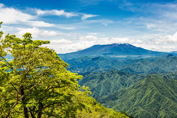 新緑の山