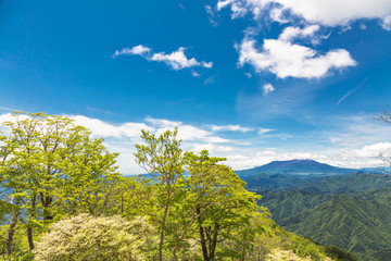 新緑の山