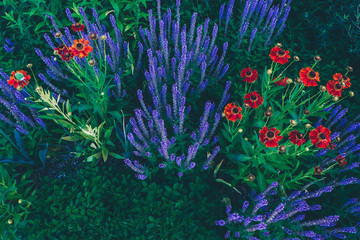 Fototapeta na wymiar Beautiful picturesque flower bed