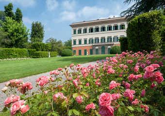 The formal garden of Villa Reale, in Marlia, Lucca. Roses flowerbed in the foreground.