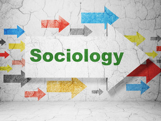 Education concept:  arrow with Sociology on grunge textured concrete wall background, 3D rendering