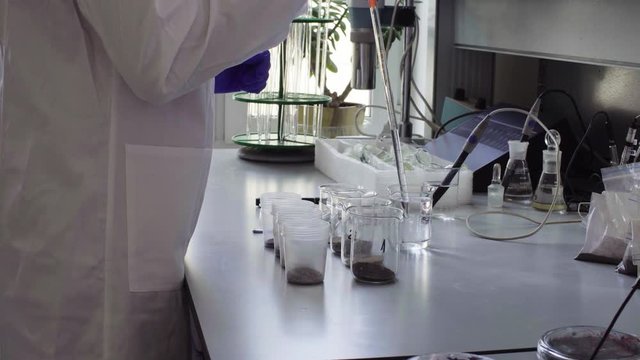The scientist in laboratory adding water to the samples of the soil with chemical pipette