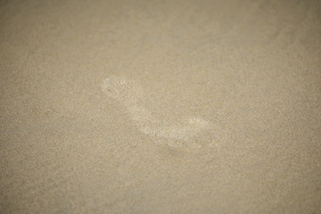 Footprints in the sand on a beach