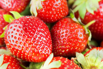 Fresh strawberry background from organic farm