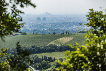 Vienna panorama from kahlenberg