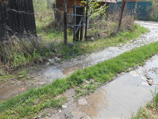 road,  puddle, nature