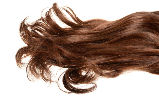 long curly brunette brown hair isolated