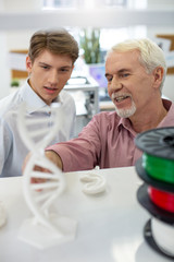 Useful information. Pleasant senior man pointing at the 3D DNA model while telling his intern about 3D printing