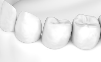 Mouth gum and teeth. White stye 3D illustration