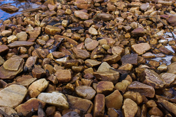 Stones from the river bottom