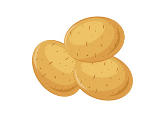 Vector illustration. Potato set on a white background.