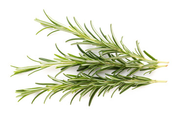 Rosemary spice on the white background.