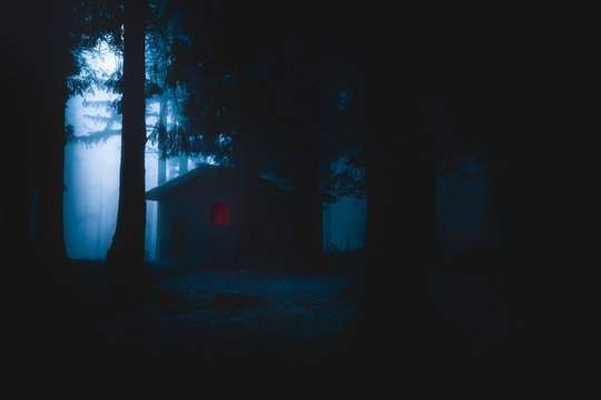 scary house illuminated in mysterious horror forest at night