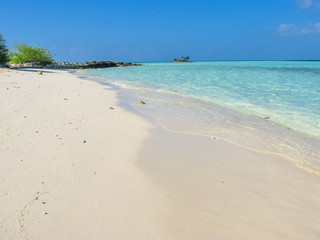 Fototapeta na wymiar Maldives, Atoll, Indian Ocean. Palm trees on the white sand beach. Turquoise water of the lagoon. Asdu in Male North.