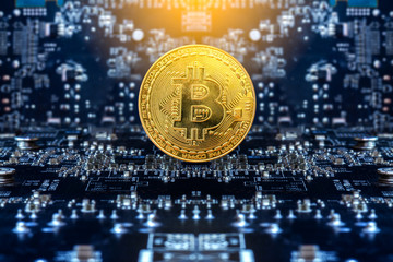 Golden bitcoins standing on circuit board, business concept.