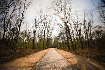 Tiergarten in Berlin