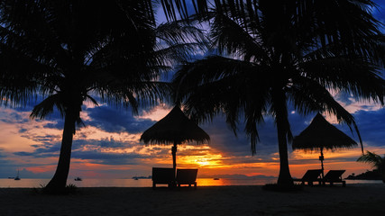 Silhouette coconut palm tree with lounge chairs on tropical beach at vivid sunset time.(16:9 aspect...