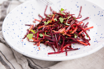 Red Beet and Carrot Slaw Salad on Plate