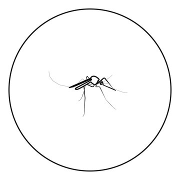 Mosquito icon black color in circle