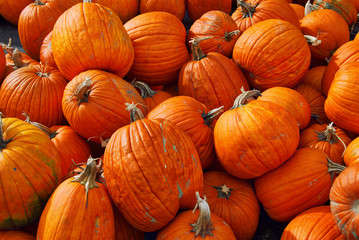 Pile of Pumpkins