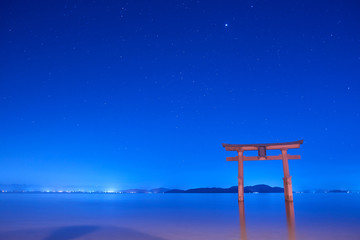 夜の白髭神社の鳥居