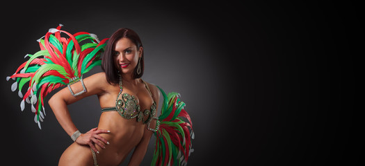 Fototapeta na wymiar Beautiful woman in carnival costume with feathers and rhinestones.