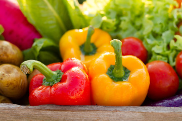 healthy food clean fresh vegetable in basket just harvest from garden.