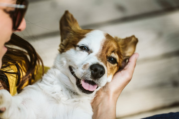 Young beautiful woman playing with her sweet little dog in a lovely park of the center of Madrid. Seated in a wooden floor. Lifestyle. Friendship.
