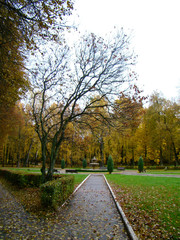 Autumn alley in park