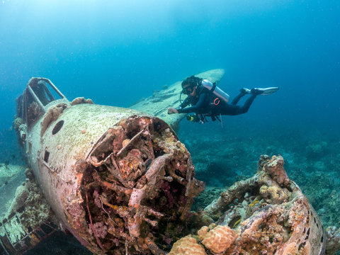 Woman diving by a plane wreck, Koror, Palau