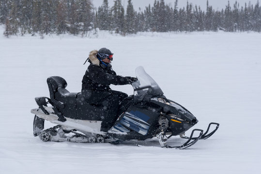 Man driving a snowmobile, Yellowknife, Northwest Territories, Canada