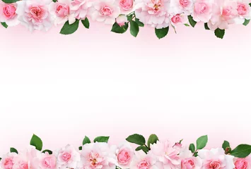 Poster de jardin Roses Pink background with rose flowers and leaves