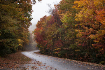 Autumn Drive on Blue Ridge Parkway