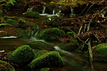 Die Spitter nahe Tambach-Dietharz im Thüringer Wald