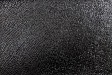 Leather Texture