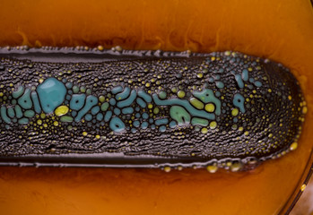 Abstract Macro Photo of Liquids Mixed in Lab