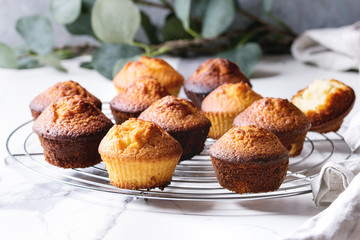 Fresh baked homemade lemon cakes muffins standing on cooling rack with eucalyptus branch over white marble kitchen table.