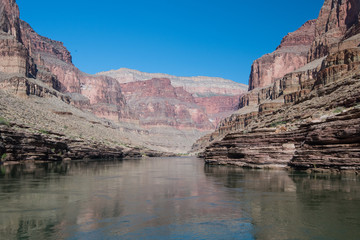 Colorado River Reflections