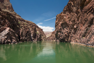 Colorado River Reflections