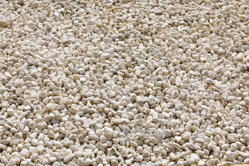 abstract background of white sea pebbles