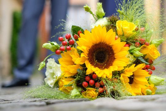 157 BESTE "Gelbe Rosen" BILDER, STOCK-FOTOS & -VEKTORGRAFIKEN | Adobe Stock