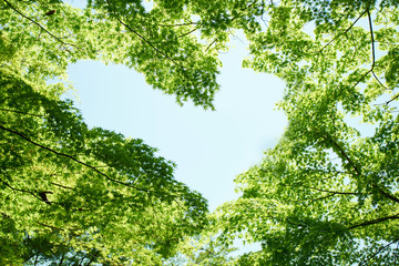 八幡山ロープウェー