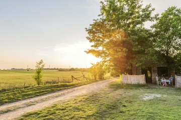 rural landscape 