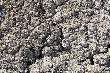 background, texture - lifeless cracked dry saline desert soil