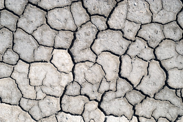 background - dried cracked saline soil, dry clay